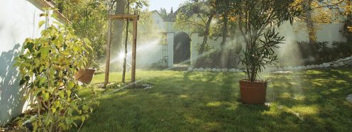Hausgartenbewässerung bei Gegenlicht