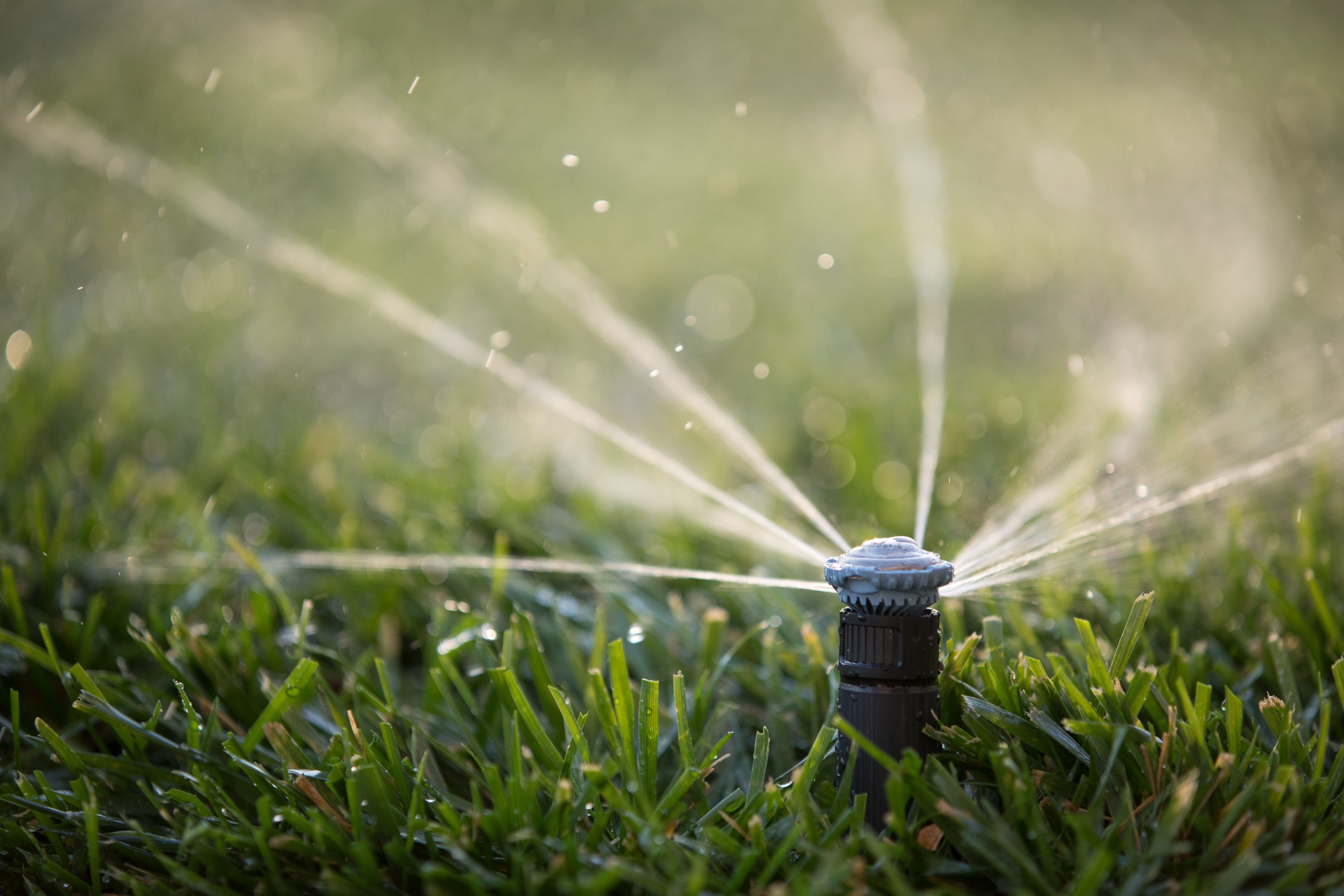 Hausgartenbewässerung System Rain Bird Pipelife Austria