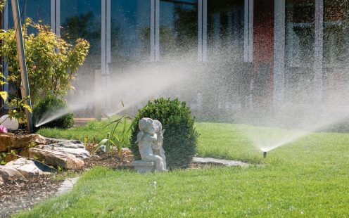 Sprüher im Einsatz auf der Wiese – Gartenbewässerung