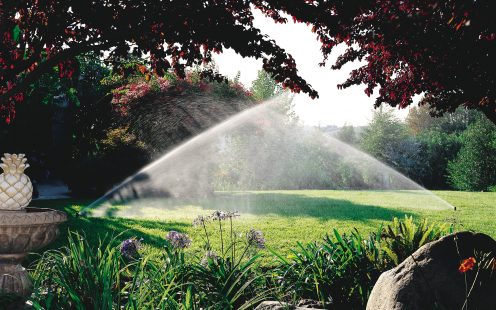 Garten bewässert mit Regnern