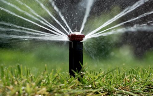 Sprüher im Einsatz in der Gartenbewässerung
