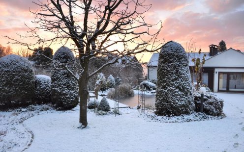 Garten im Winter mit Schnee