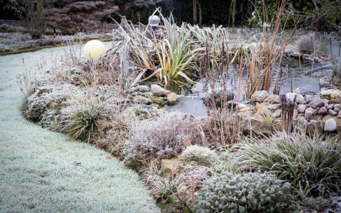 Garten im Winter mit Frost