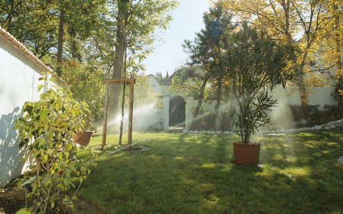 Hausgartenbewässerung bei Gegenlicht