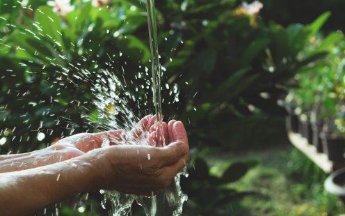 Wasser mit Garten im Hintergrund